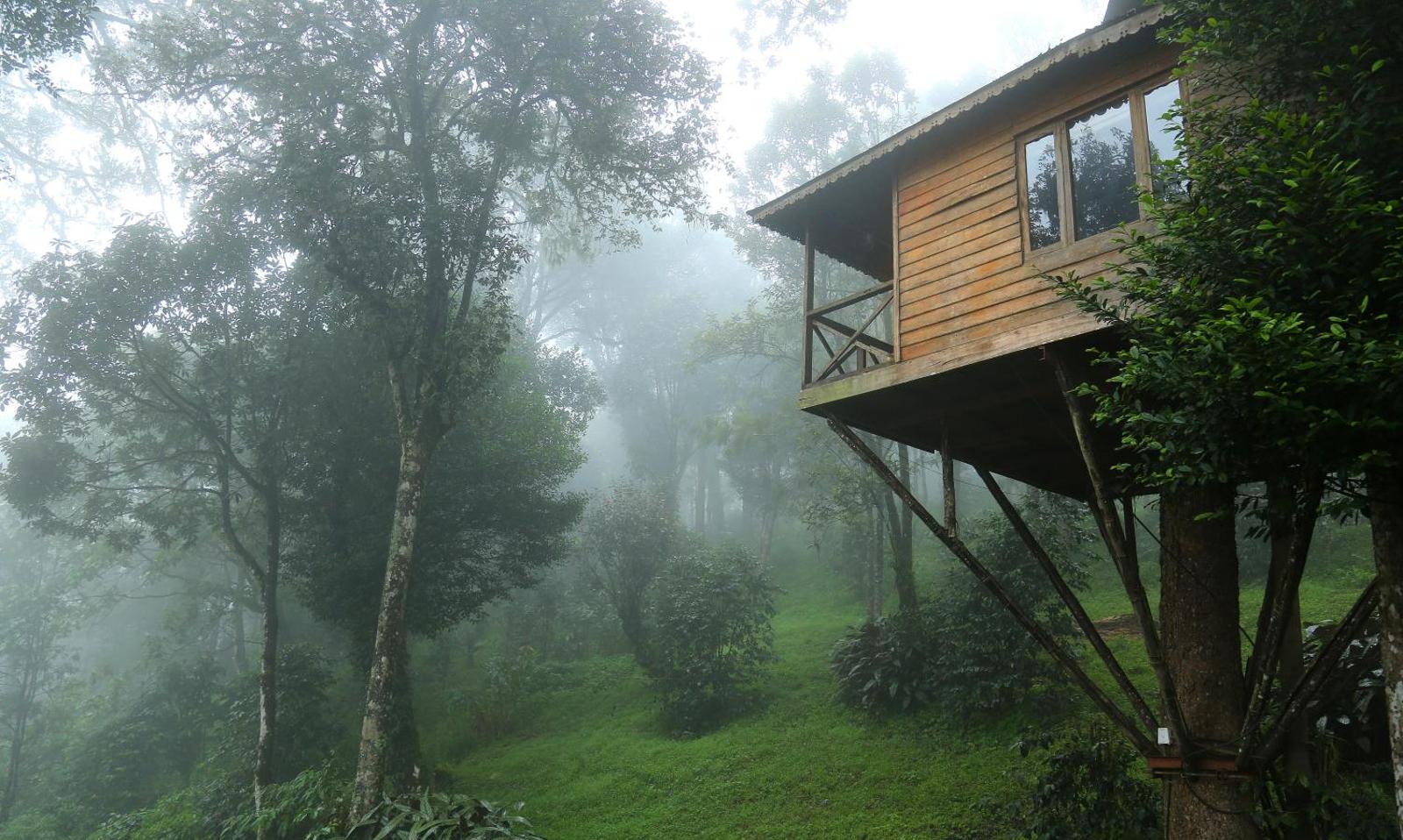 Nature Zone Jungle Resort- Experience the Wilderness & Adventure